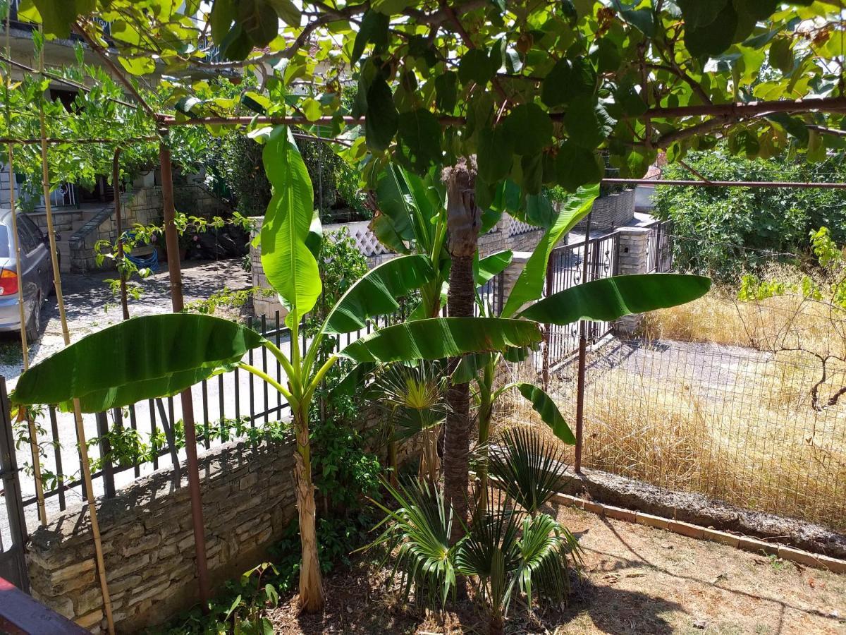 Levak Apartments - Apt.3 Pjescana Uvala Ngoại thất bức ảnh